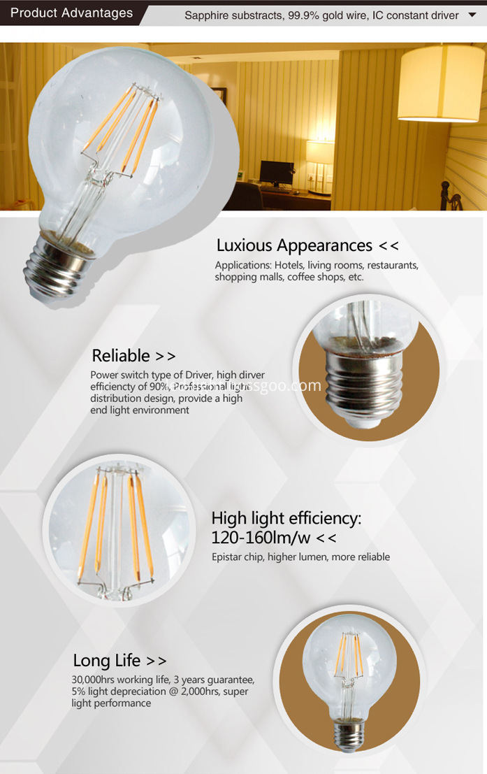 Edison Led Filament Bulb G80 8w