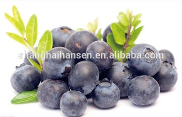 blackberry/blueberry import and export agent