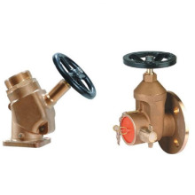 Gate Valve & Fire Brigade Valve Manufacturers: 2.5 Inch Flange Type Indoor Fire Hydrants (Landing, Dry Riser, Deck) Valves