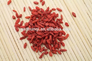 100% natural sun dried gojiberry/ red chinese wolfberry/Lycium/chinese