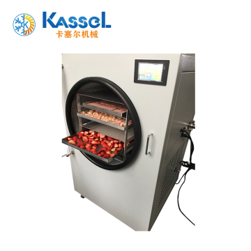 Portable Laboratory Freeze Dryer