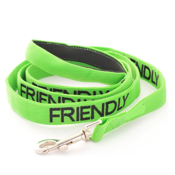 Coded Luxury Neoprene Padded Handle Dog Leash