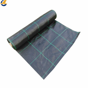 Fabric Light PE Shaders?