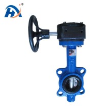 Turbine Cast Steel Butterfly Valve