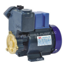 GP200 electric pump