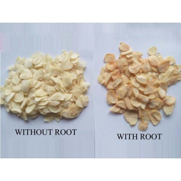 Las hojuelas de ajo sin raíz se comparan con la raíz