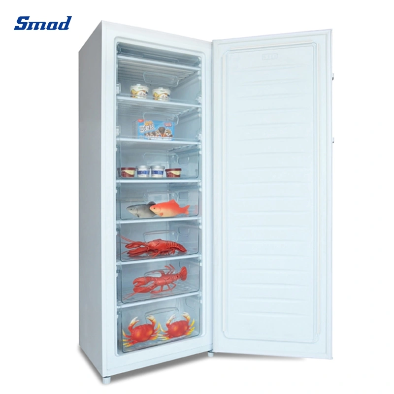 a+/F Cold Store Single Door Deep Freezer Upright Freezers