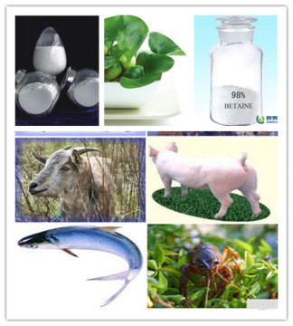 Betaine HCl in Feed Grade Vitamins