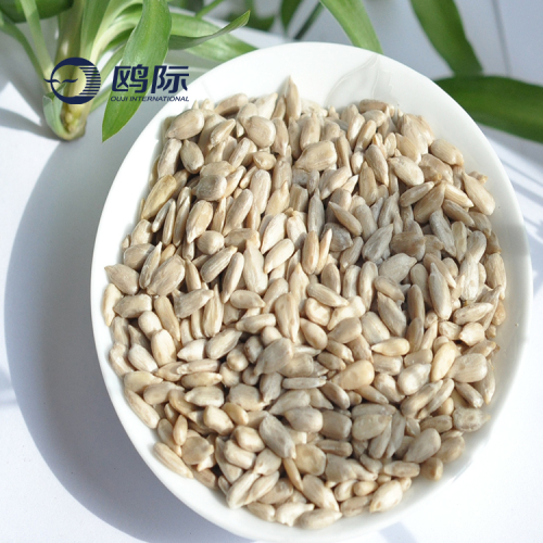 oil palm sunflower seeds kernels sell