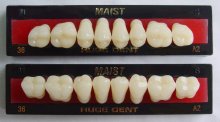 Removable denture posterior teeth MAIST 36