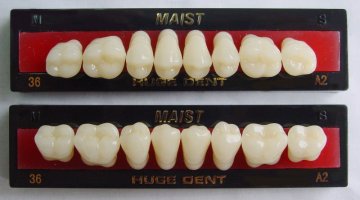 Removable denture posterior teeth MAIST 36