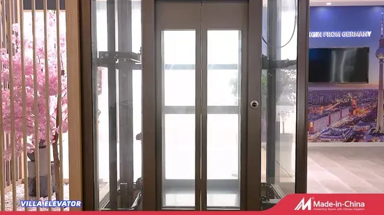 Luxury Cheap Passenger Elevator with High-Speed VVVF for Small Machine Rooms