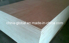 (mr glue) 18mm Poplar Core Mr Glue and Can Be Veneered Fancy/Decoraton Plywood