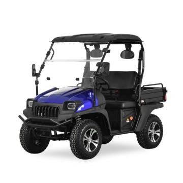 5kw Electric Golf Cart mit EWG Blau