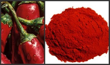 Herbs and spices bulk spices and seasoning wholesaler in China best supplier in Alibaba