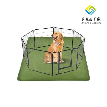 Green fleece dog blanket