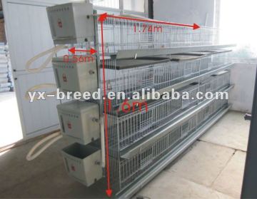 H type automatic broiler rearing cage