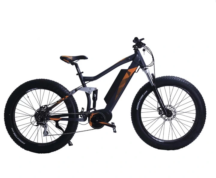 Fat Tire Electric Bike with 48V 500W Bafang MID Motor Lithium Battery