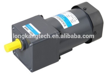 ac synchronous gear motor