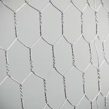 Lowest Price Chicken Wire Mesh Hexagonal Wire Mesh