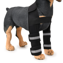 Breathable Adjustable Dog Knee Brace for Pain Relief and Support