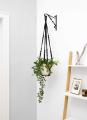 Macrame plant hanger indoor hangende plantenmand