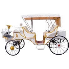 Romantic Electric Wedding Carriage for Six Outdoors in 2025