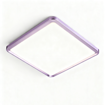 Ceiling Light for Contemporary Home Design