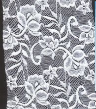 Allover Lace W9382