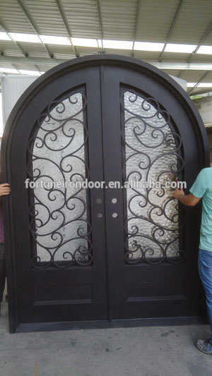 Ornamental wrought iron door design / China Manufacturer