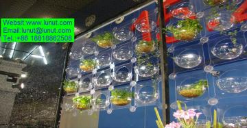 Acrylic wall screen for decoration in home