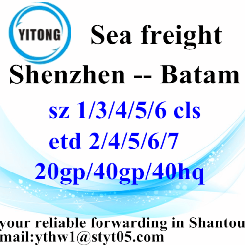 Shenzhen International Shipping Agent to Batam