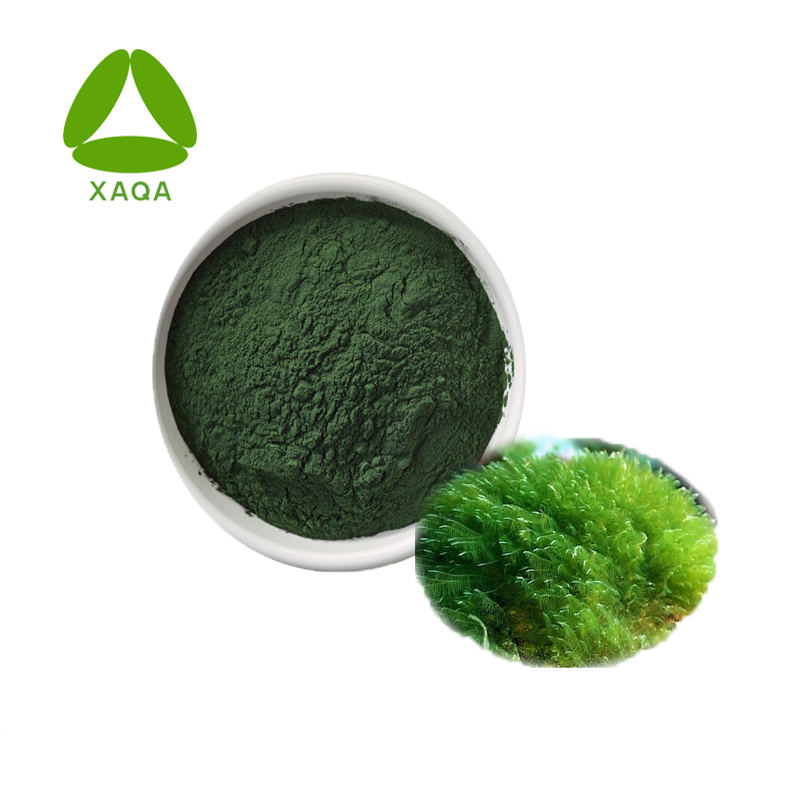 Polvo de espirulina cruda aditiva 100% de alimentación natural