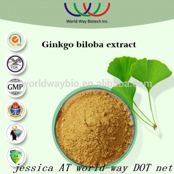 Ginkgo Biloba, Ginkgo Biloba Extract, ginkgo biloba extract supplier