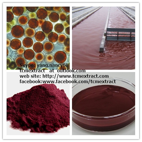 Astaxanthin/Haematococcus pluvialis Extract 1% 2% 3% 5% 10%/CAS 472-61-7