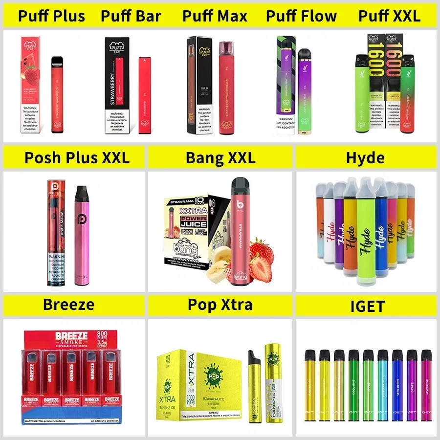 2022 High Quality Factory Direct Supply 2000 Puffs Disposable Vape