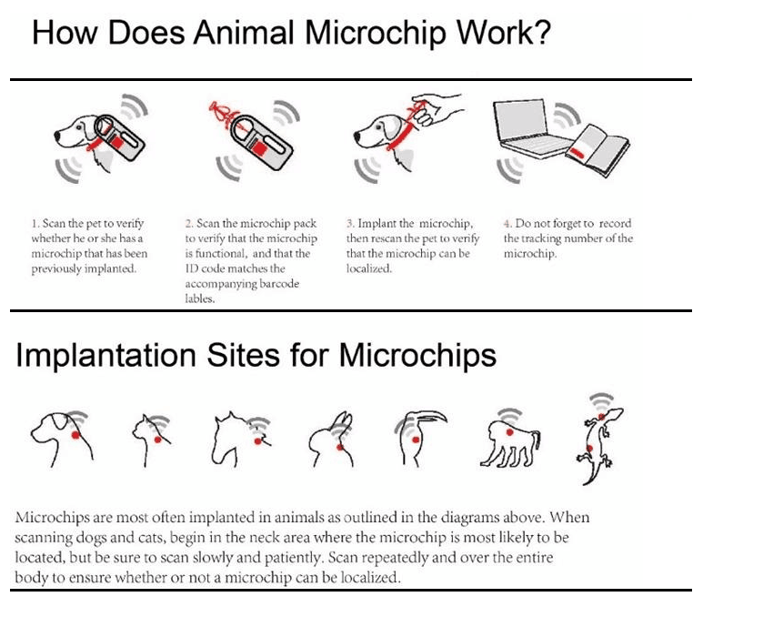 Pet Link Microchip