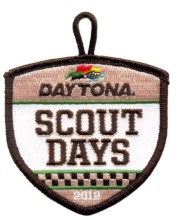 Scout patch 2