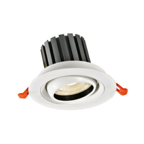 LEDER Downlight LED haute tension blanc 20W