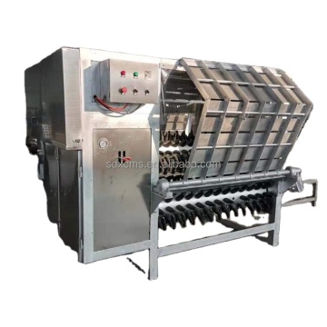 2024 Hot Sale Sheep Goat Slaughter House Equipment Slaughter Line