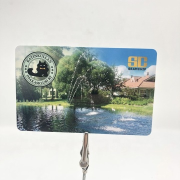 PVC VIP gift loyalty carte Membership Cards