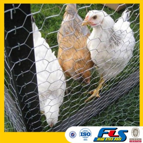 Anping Hot Sale Hexagonal Chicken Wire Mesh