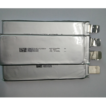 LifePo4 Battery Soft Pack