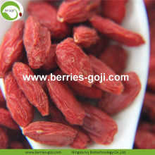 Partihandel Bulk Variety Eu Standard Goji Bär