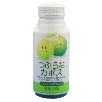 Delicious  Fruit Juice