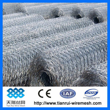 1/2'' Electro galvanized Hexagonal Wire Mesh(factory)