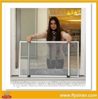 Small Sliding Removable Insect Screen Window