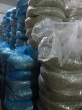 Best Price Dehydrated green peas