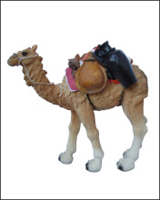 Camel