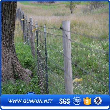 Provide Farm Fence Studded T Posts